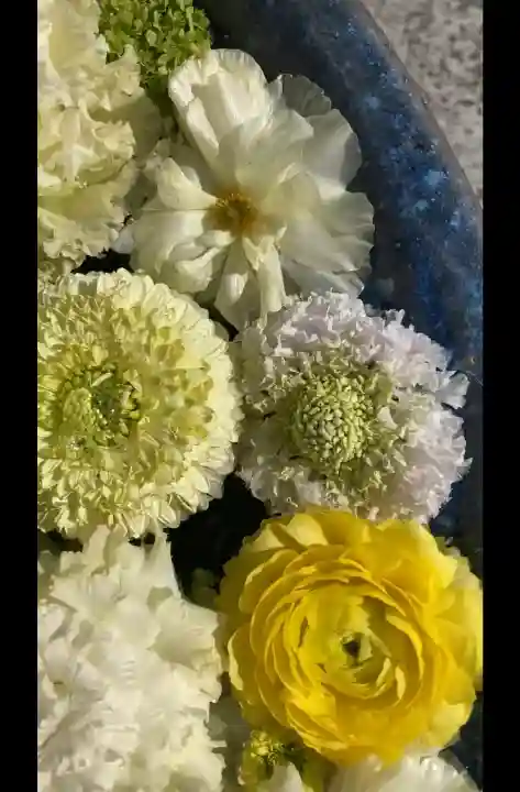 行田八幡神社の{uncategorized: "未分類", other: "その他", undefined: "問題あり", building: "その他建物", grave: "お墓", sacred_gate: "鳥居", guardian: "狛犬", statue: "像", buddha: "仏像", history: "歴史", nature: "自然", garden: "庭園", animal: "動物", pagoda: "塔", temizu: "手水舎", mountain_gate: "山門・神門", sanctuary: "本殿・本堂", subordinate: "末社・摂社", art: "芸術", scenery: "景色", jizo: "地蔵", ema: "絵馬", goshuin: "御朱印", omikuji: "おみくじ", items: "授与品その他", amulet: "お守り", goshuincho: "御朱印帳", eats: "食事", festival: "お祭り", votive_dance: "神楽", shichigosan: "七五三参", wedding: "結婚式", experience: "体験その他", initially: "初詣", around: "周辺", anti_infection: "感染症対策"}