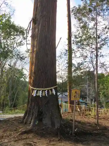 鶴峯八幡宮の自然