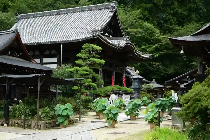 岡寺(龍蓋寺)のその他建物