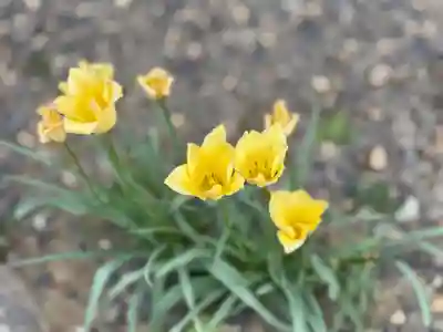 西方山極楽寺(岐阜県)