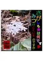 耕田院(山形県)