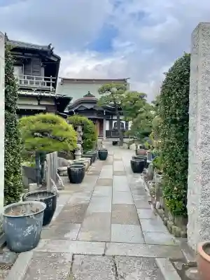 日蓮宗龍口山本龍寺の{uncategorized: "未分類", other: "その他", undefined: "問題あり", building: "その他建物", grave: "お墓", sacred_gate: "鳥居", guardian: "狛犬", statue: "像", buddha: "仏像", history: "歴史", nature: "自然", garden: "庭園", animal: "動物", pagoda: "塔", temizu: "手水舎", mountain_gate: "山門・神門", sanctuary: "本殿・本堂", subordinate: "末社・摂社", art: "芸術", scenery: "景色", jizo: "地蔵", ema: "絵馬", goshuin: "御朱印", omikuji: "おみくじ", items: "授与品その他", amulet: "お守り", goshuincho: "御朱印帳", eats: "食事", festival: "お祭り", votive_dance: "神楽", shichigosan: "七五三参", wedding: "結婚式", experience: "体験その他", initially: "初詣", around: "周辺", anti_infection: "感染症対策"}