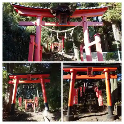 蓮神社(群馬県)