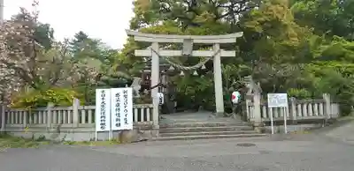 八雲神社(緑町)の鳥居