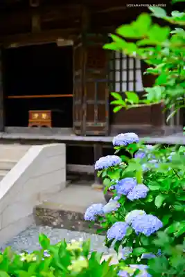 佛日庵(神奈川県)