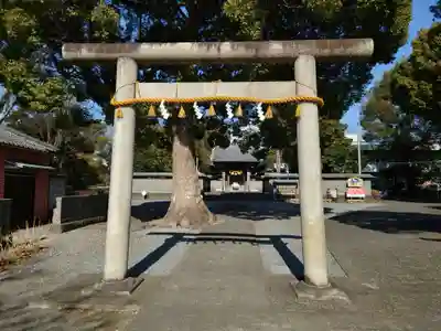 日吉浅間神社(静岡県)