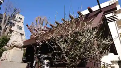 高円寺氷川神社のその他建物