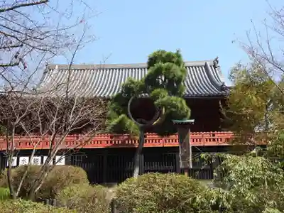 清水観音堂(東京都)