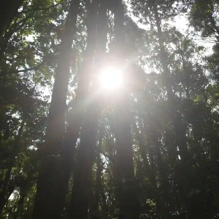 香取神社の自然
