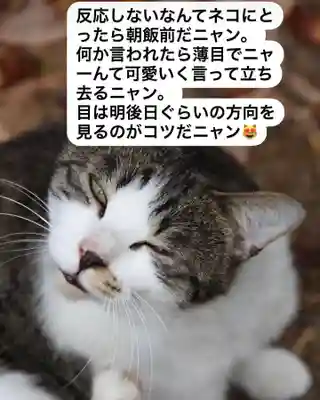 専念寺(大阪府)