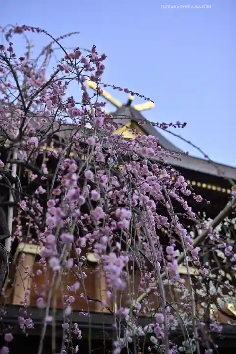 湯島天満宮(東京都)