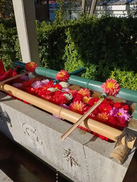 伊和志津神社(兵庫県)