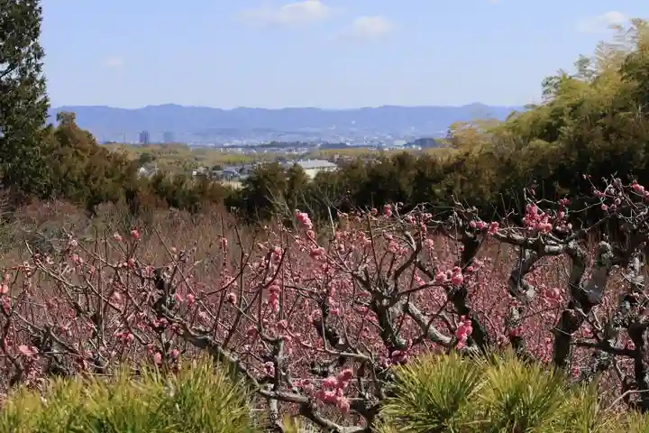 正法寺(京都府)