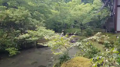 実相院門跡の庭園