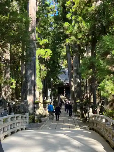 高野山金剛峯寺奥の院(和歌山県)