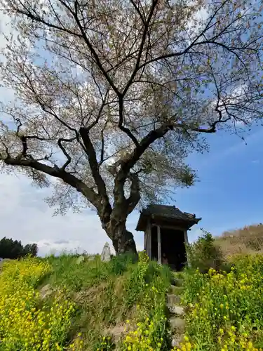 小沢の桜祠(福島県)