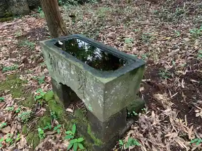 日枝神社の手水舎