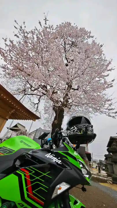 秩父札所十三番 慈眼寺の{uncategorized: "未分類", other: "その他", undefined: "問題あり", building: "その他建物", grave: "お墓", sacred_gate: "鳥居", guardian: "狛犬", statue: "像", buddha: "仏像", history: "歴史", nature: "自然", garden: "庭園", animal: "動物", pagoda: "塔", temizu: "手水舎", mountain_gate: "山門・神門", sanctuary: "本殿・本堂", subordinate: "末社・摂社", art: "芸術", scenery: "景色", jizo: "地蔵", ema: "絵馬", goshuin: "御朱印", omikuji: "おみくじ", items: "授与品その他", amulet: "お守り", goshuincho: "御朱印帳", eats: "食事", festival: "お祭り", votive_dance: "神楽", shichigosan: "七五三参", wedding: "結婚式", experience: "体験その他", initially: "初詣", around: "周辺", anti_infection: "感染症対策"}