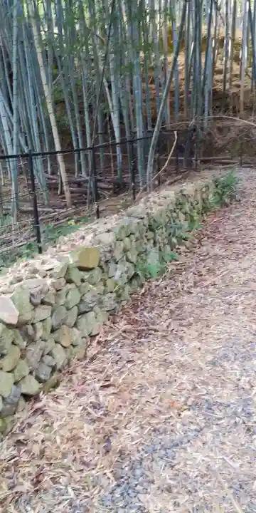 勝持寺(花の寺)の周辺