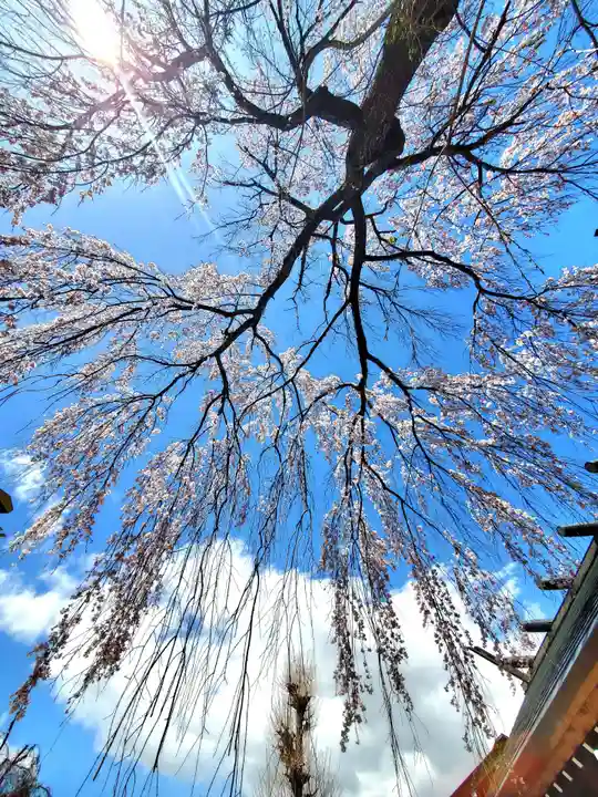 開成山大神宮(福島県)