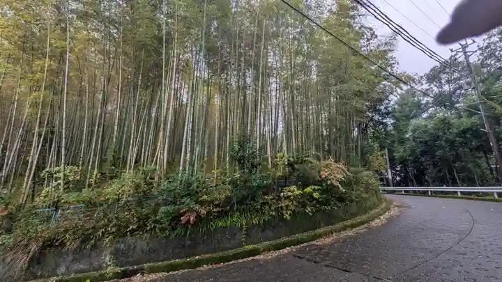 若山神社(大阪府)