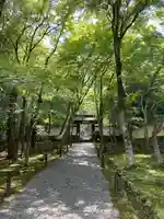 地蔵院(京都府)