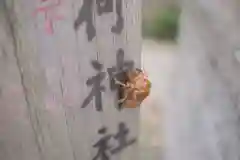 住吉神社(神奈川県)