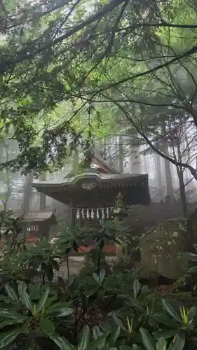 三峯神社(埼玉県)