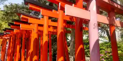 根津神社(東京都)