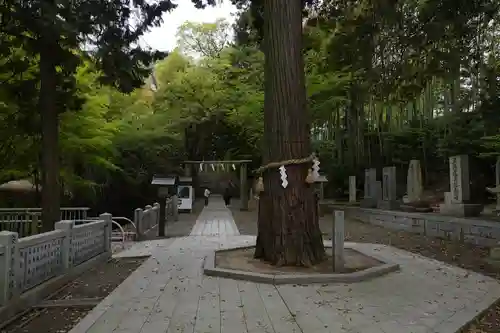 石鎚神社 口之宮 本社(愛媛県)