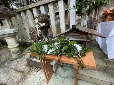 天鷹神社(岐阜県)