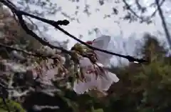 玉作湯神社(島根県)