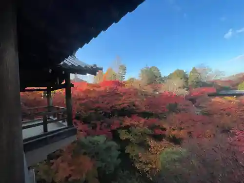 東福禅寺（東福寺）の自然