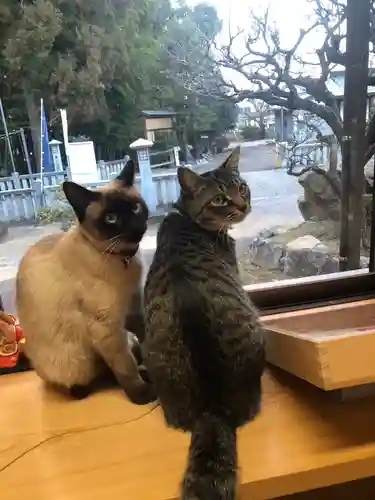 白山神社の動物