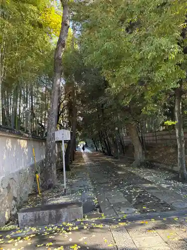 今宮神社(京都府)