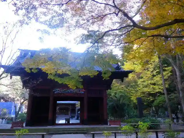 妙本寺の山門・神門