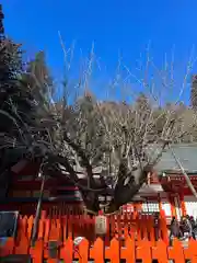 金櫻神社(山梨県)