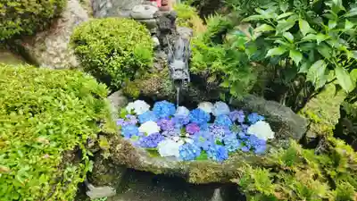 高林寺(福島県)