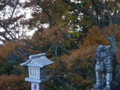 大山阿夫利神社の狛犬