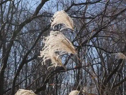 永福寺　童子堂の周辺