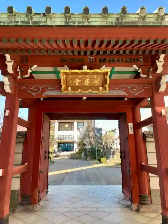妙蓮寺(東京都)