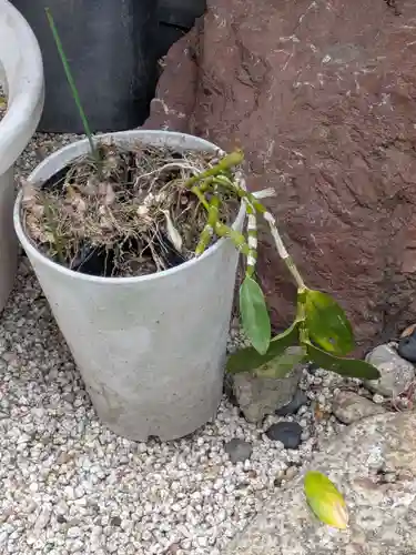 専行寺(東京都)