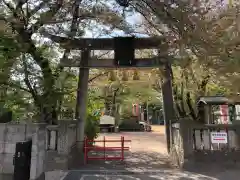 鴨島八幡神社の鳥居