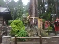 北口本宮冨士浅間神社(山梨県)