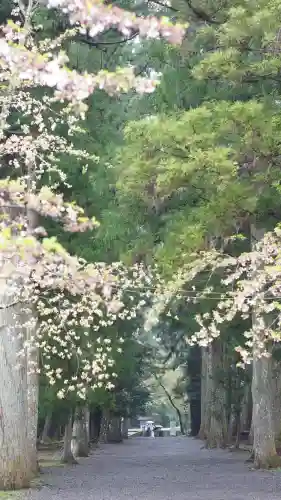 熊野本宮大社の{uncategorized: "未分類", other: "その他", undefined: "問題あり", building: "その他建物", grave: "お墓", sacred_gate: "鳥居", guardian: "狛犬", statue: "像", buddha: "仏像", history: "歴史", nature: "自然", garden: "庭園", animal: "動物", pagoda: "塔", temizu: "手水舎", mountain_gate: "山門・神門", sanctuary: "本殿・本堂", subordinate: "末社・摂社", art: "芸術", scenery: "景色", jizo: "地蔵", ema: "絵馬", goshuin: "御朱印", omikuji: "おみくじ", items: "授与品その他", amulet: "お守り", goshuincho: "御朱印帳", eats: "食事", festival: "お祭り", votive_dance: "神楽", shichigosan: "七五三参", wedding: "結婚式", experience: "体験その他", initially: "初詣", around: "周辺", anti_infection: "感染症対策"}