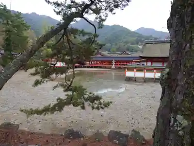 厳島神社(広島県)