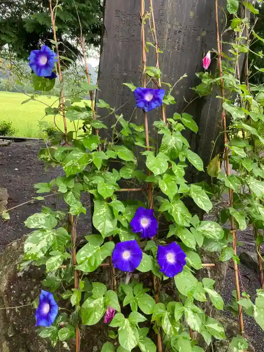 高司神社〜むすびの神の鎮まる社〜の自然