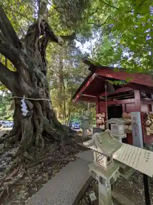 大杉神社 境内社 勝馬神社(茨城県)