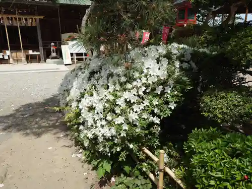 愛宕神社(宮城県)
