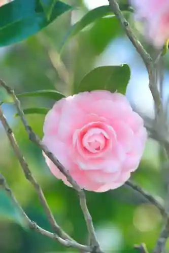 浄土寺(兵庫県)